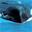 Free Blue Whales Screensaver icon